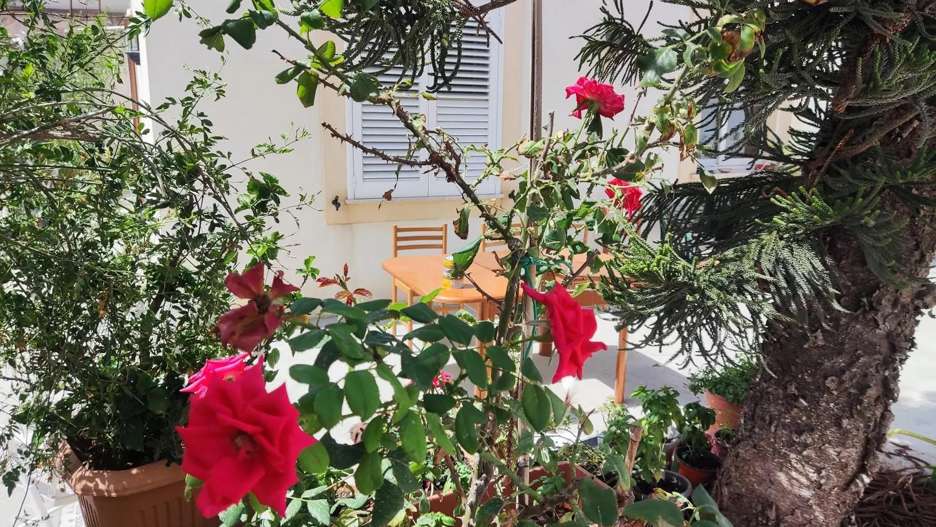L'Araucaria Bnb マルサラ 0*,  イタリア